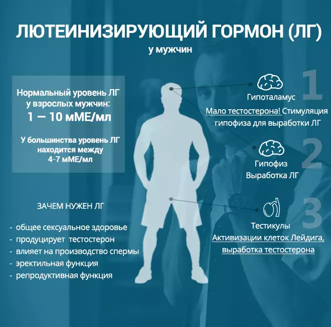 лютеїнізуючий гормон для жінок та чоловіків
