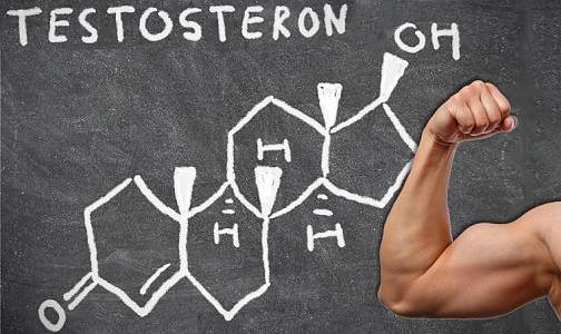 Как повысить тестостерон
